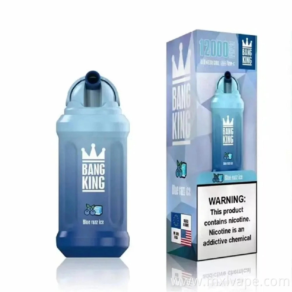 Bang King 12000 Puff Disposable Bang 650mAh Rechargeable Battery Mesh Coil 23ml Capacity Pods Device Vape Pen